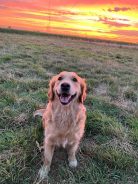 ceac9d9c5f09d2792079df90647b443a_138x184_fill