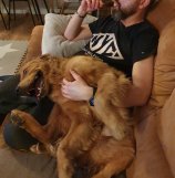 cee7348f8863030732403a397686ad4e_158x161