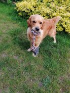 cf698a3226352eba37ad98480de1af6f_138x184_fill