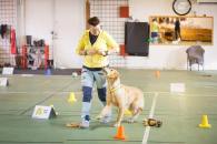 d04c2e78cf806be70aa25ba41bcea57b_195x130_fill