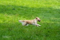 d069b651e6e5da6a29ef779d7bcc42eb_195