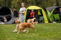 d086544832404cc86301c804634a1dc7_195x130_fill