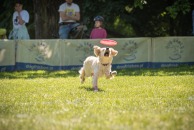 d0b0af7b3aa63faa72d6709437c9614e_194