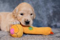 d21f2cce57030c9675a63dae6954f587_195