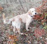 d220680dc7eca759f00c1071c1eb994f_165