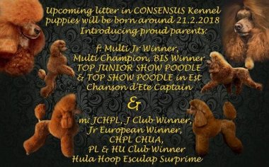 d24c3fc01a8bcde452b38db2236ee44b_380