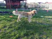 d2675013d00a1916d34fd9cab656b517_184x138_fill