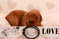 d32b07c1da8819e31461b555ae94237c_195