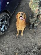 d44a3329d2c6a0a6f99e586e5bc044dd_138x184_fill