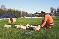 d4d021fad1a3eaac9f8b9117e6d9766c_195