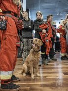 d4e2ec2a32d43f826ea2aebdb761bf93_138x184_fill