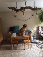 d588d1d8729b6388d30c6cd5d30ea3e5_138x184_fill