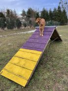 d593c137a2a7c6a009871c7ea818483c_138x184_fill