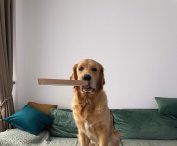 d59d39fed3a4aef5cf35ff52ceb41d24_177