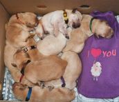 d602c07f12994bc0dca770f9c26bfb44_172