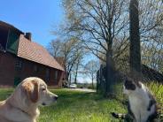 d602d1b0a66177fd6502280480907ac9_184