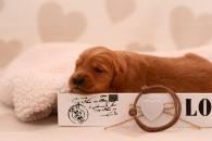 d60db84922f65a92b5a3e51fb8b21b08_195x130_fill