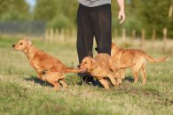 d64babd88b309201ca1032a0edbeb906_195