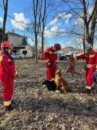 d6c899b608c23845ff3a1918b0bbfd84_138x184_fill