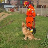 d7b76d09a8784bfaa067961d517adc54_160x160_fill