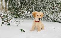 d7b8e29c7693a7d39f84fcadd4f3b72d_203