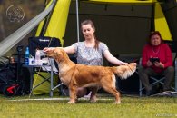 d7d9b19ea86955d72012570efe1aa0db_195