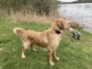 d8045173d5a5569c8c1da4a11d4539ba_184x138_fill