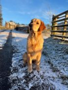 d8123e3057387cfd510b289ff92f65c1_138x184_fill