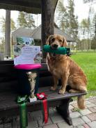 d8338387b3b925fd7e5b941486e97c3d_138x184