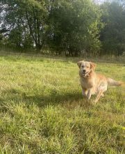 d8ac10b3568c7ac6817d42596eaff148_180x221