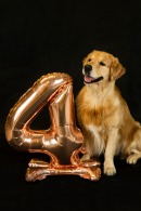 d8b5e87dbea96241c52f77b7ecd500cc_130x195