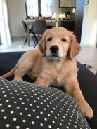 d8c89dd5e08b32b1f40d175c35711156_138x184_fill