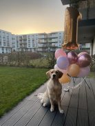 d94700d06ac116efcd47eb116cb89f1e_138x184_fill