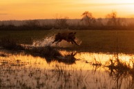 d95710231bb034f7696ac2c4b829b203_194