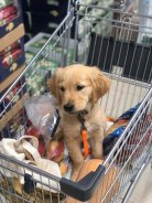 d95eaca53eafa6c2f695b6b5a3c989de_138x184_fill