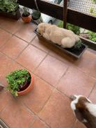 d981f5f8acb054b7a803d2140041e646_138x184_fill