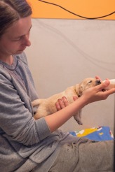 d9d7555cf7495ed488165033be4e11e4_164x246