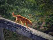 d9e547034035bcb2c45fccb5d54c7e76_183