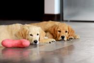 da14aae2c614d7cd80d5f56d3df298e9_195