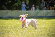 dacb366b9639c103974f8cf92d9a6553_194