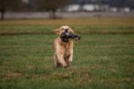 daeb8d2d13874d756f1a1d549a4c40f5_195