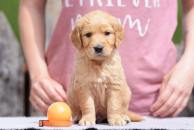 db1586591fce0a39a9ce05c97ae307a4_194