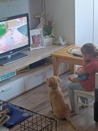 db2facb13d48219776f2b9161bfd6e84_138x184