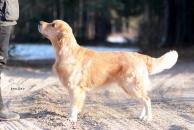 db3f6e076bf99c75fdb84d5d6540d844_194