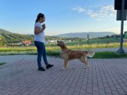 db5cee99921bf8834ebc40b93e7088c3_184x138_fill