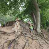 db8f75c3bce54da1a28aec1249163118_160x160_fill