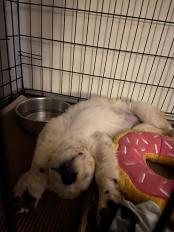 dba340f978dec8b3d9f087a809325023_174x232_fill