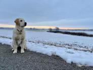 dbf6ec5cd57aec0147406c69378a9404_184