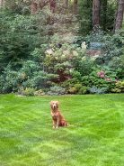 dc3b4cf30be23b585caefe6b7a7db5d7_138x184_fill