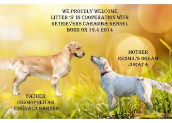 dc61d1e6adcbc6754c595681ccf3189a_355